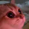любовь