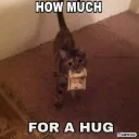 SF_How much for a hug (▰˘︹˘▰)
