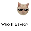 who asked? | .gg/kitkat