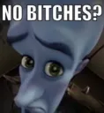 no bitches