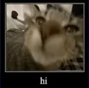 Hey