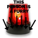 this person is a furry