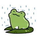 Rainy froggie