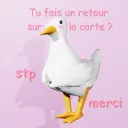 Oie retour carte