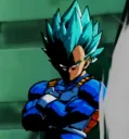 vegeta prowler