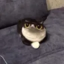 uhm chile anyways so