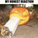 my honest reaction