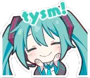 ty miku