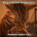 Yaadein jalani hai