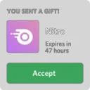 nitro .gg/nd-community