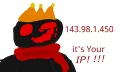 Your IP