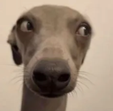bffr