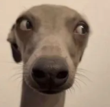 bffr