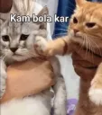 kam bola kar