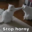 stop horny