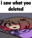 I saw what you deleted