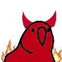 попуг