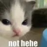 not_hehe