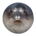 sealorb
