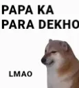 papa ka para dekho