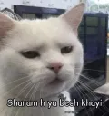 sharam hai ya bech khayi