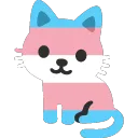 trans cat