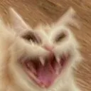 MEWWWWWWWWWWWWWWWWWWWWWW