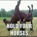 holdyourhorses