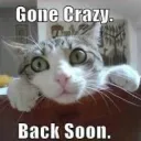 Gone Crazy | .gg/kfd