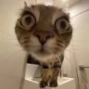 Death Stare | .gg/kfd