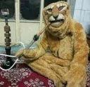 Lion Smoking 