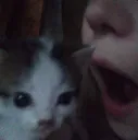 scream cat in ear