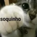soquinho