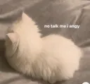 no talk me i angy