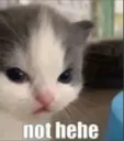 NotHehe