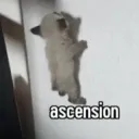 ascension | .gg/kfd