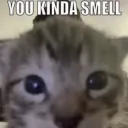 you kinda smell | .gg/kfd
