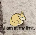 i am at my limit