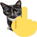 CatMiddlefinger