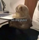 Puter | gg/Homies18