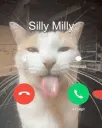 silly milly is calling