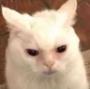 grrwahhh