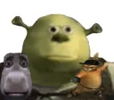 shrekfriends cursed