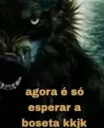 Agora é so esperar a boseta