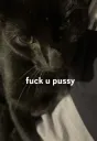 fuckyoupussy