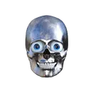 skull:
