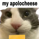 CT_my apolocheese