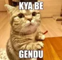 kya be gendu