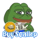 buy scallop