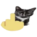fuk